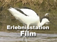 Erlebnisstation